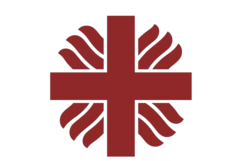 caritas.diocesiscarabayllo.org.pe